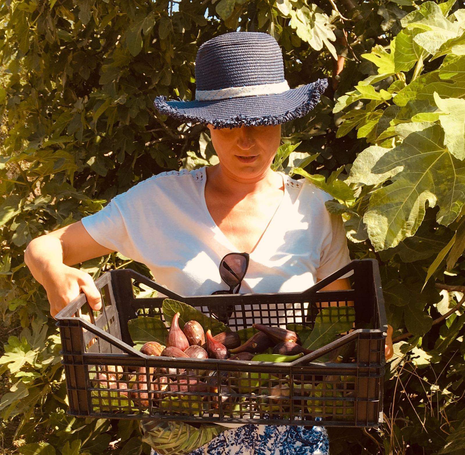 Wiosna na Sardynii, Sardynia wiosną